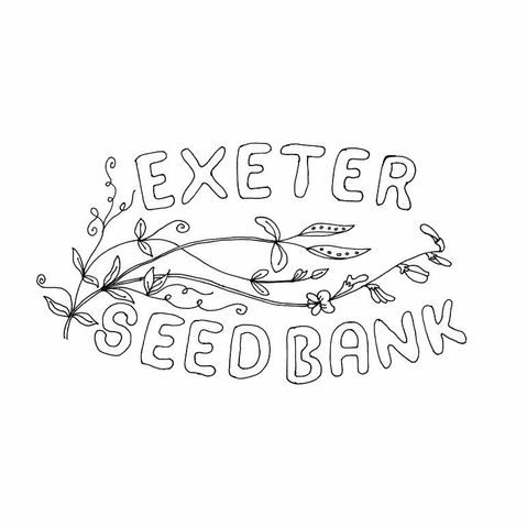 Exeter Seed Bank's aim is to share knowledge about seed saving, an ancient craft that is reviving in the face of our diminishing seed diversity.